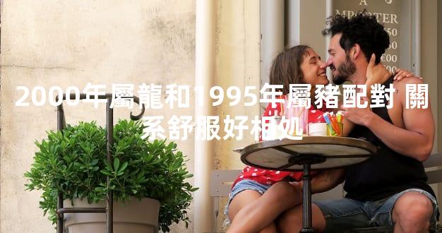 2000年屬龍和1995年屬豬配對 關系舒服好相処